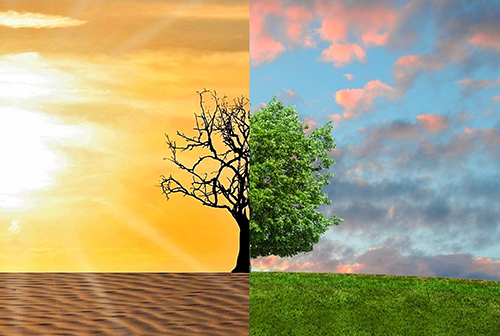 changement climatique